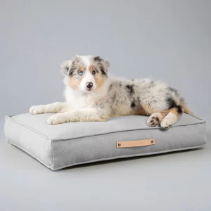 Labbvenn Hundekissen MØVIK