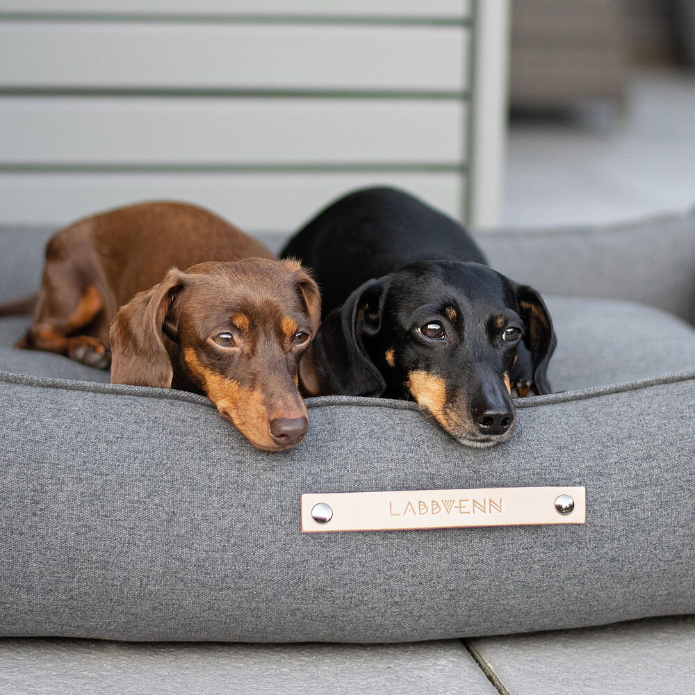Labbvenn Hundebett MØVIK Anthrazit – Bild 4