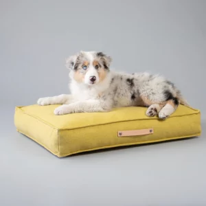 Labbvenn Hundekissen MØVIK in Honey oder Biskuit