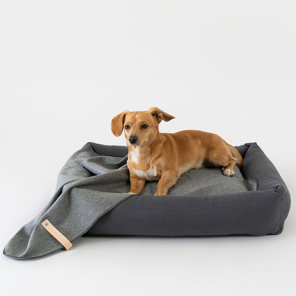 Labbvenn Hundedecke ÅSNEN – Bild 4