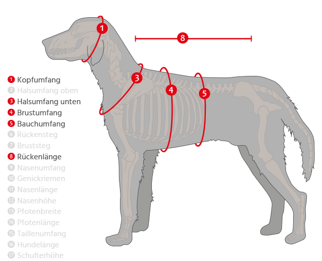 SOS leichte Hundejacke – Bild 6