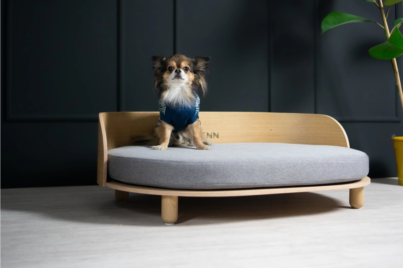 Loue Hundebett – Bild 3