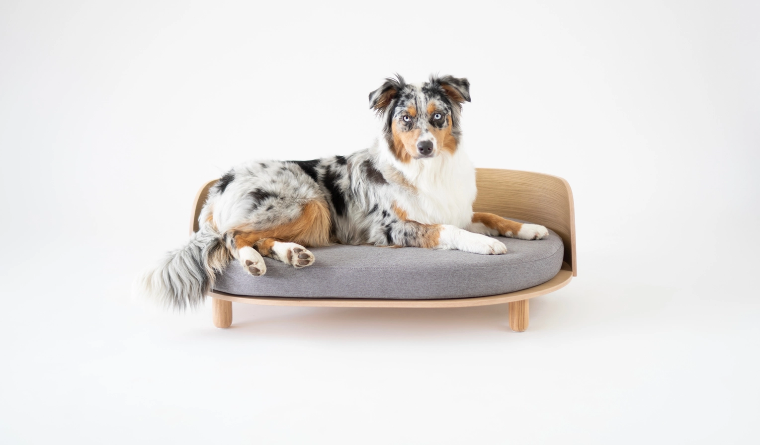 Loue Hundebett – Bild 2