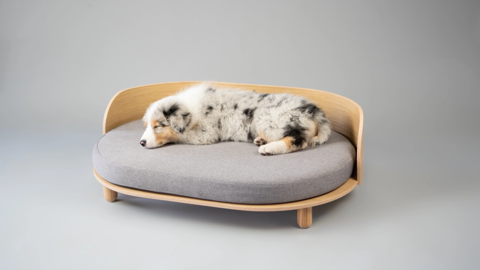 Loue Hundebett – Bild 4