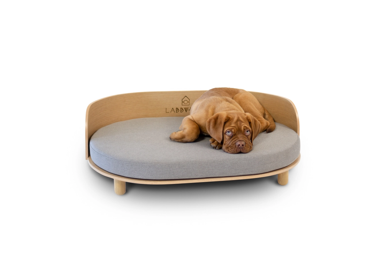 Loue Hundebett – Bild 5