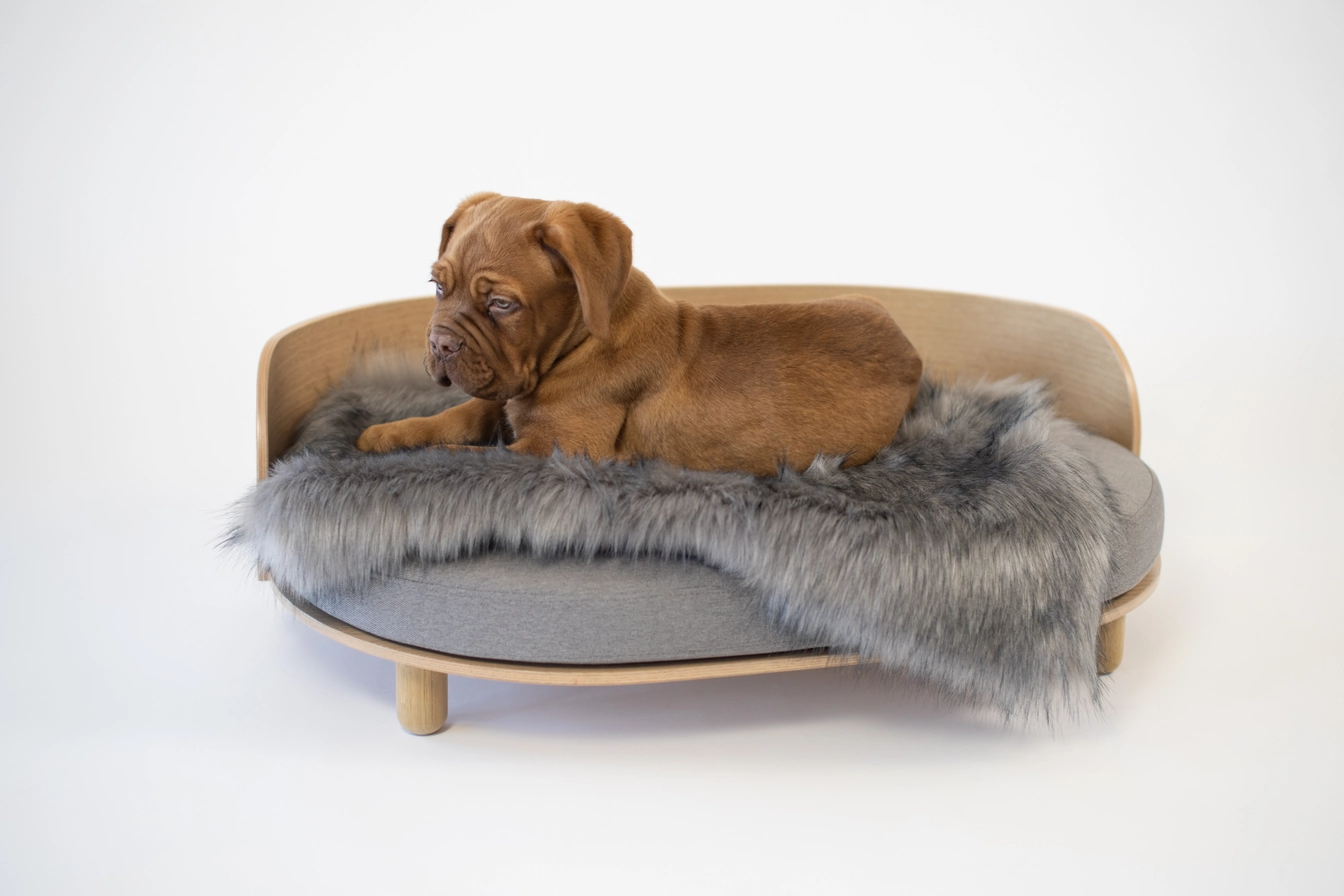 Loue Hundebett – Bild 7